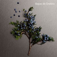 ETERNITY AROMATIC ESSENCE For Men  100ml-218292 ETERNITY AROMATIC ESSENCE For Men  100ml-218292 3